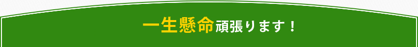 一生懸命頑張ります。